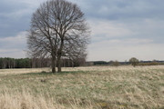 Działka Sprzedaż Lubczyna