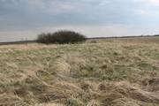 Działka Sprzedaż Lubczyna