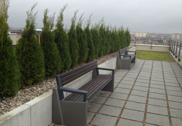 Mieszkanie Wynajem Szczecin Centrum Mariana Langiewicza 20