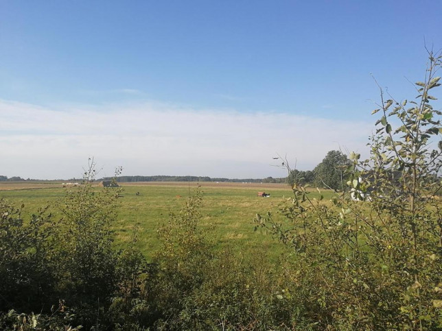 Działka Sprzedaż Kościuszki 5