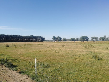 Działka Sprzedaż Borzysławiec