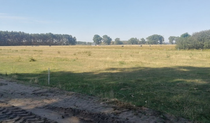 Działka Sprzedaż Borzysławiec 6
