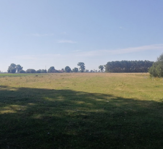 Działka Sprzedaż Borzysławiec 7