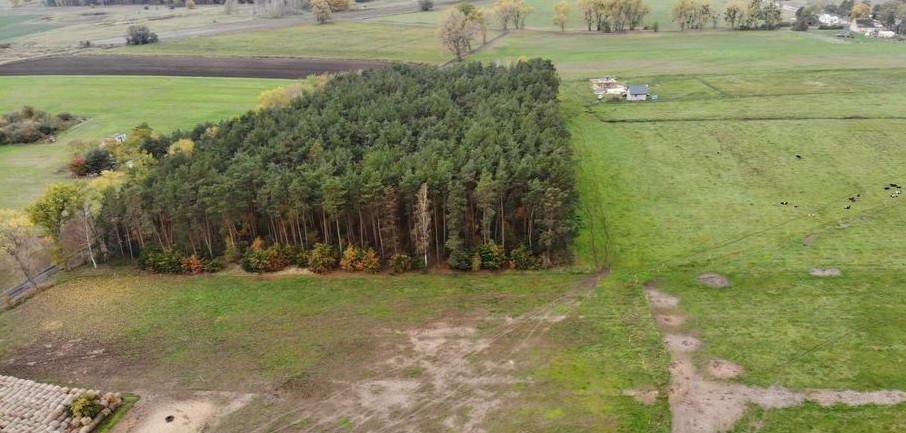 Działka Sprzedaż Borzysławiec