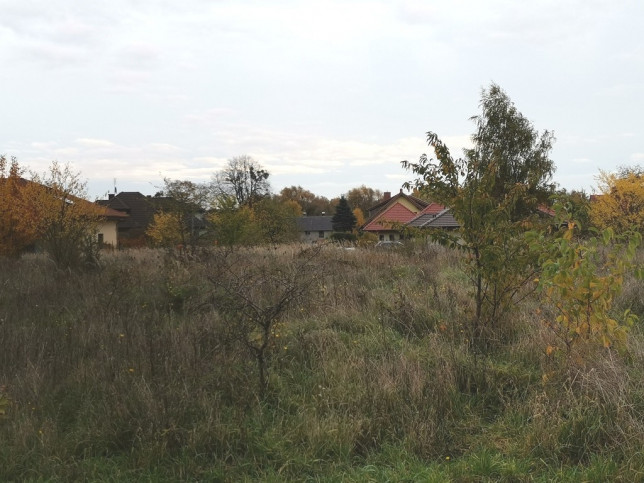 Działka Sprzedaż Wąwelnica 1