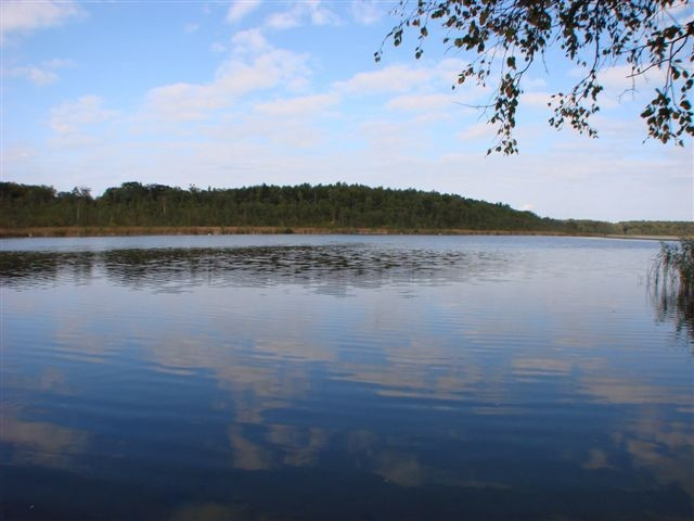 Działka Sprzedaż Stolec 1