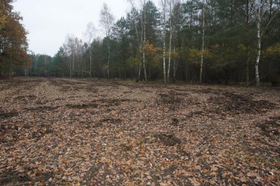 Działka Sprzedaż Krępsko