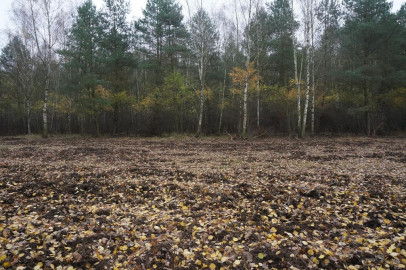 Działka Sprzedaż Krępsko