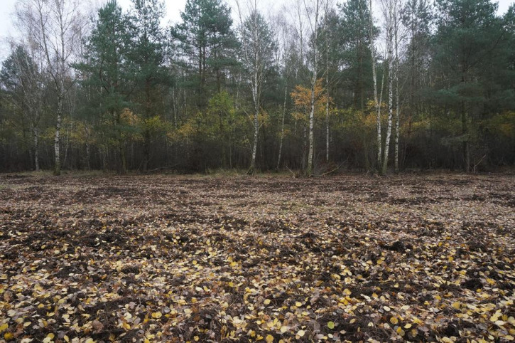 Działka Sprzedaż Krępsko 1