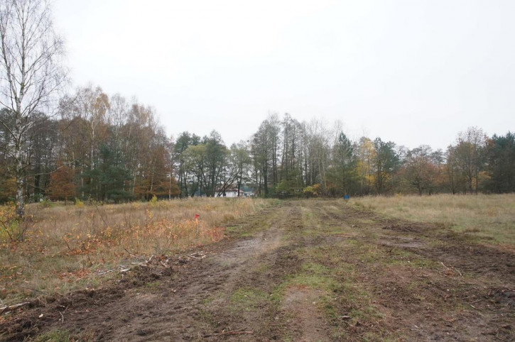 Działka Sprzedaż Krępsko 5