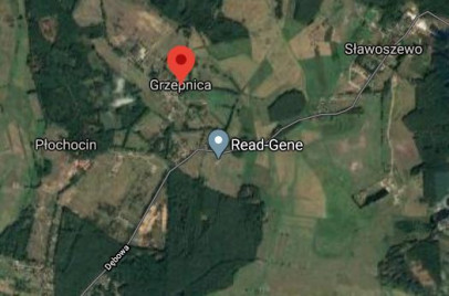 Działka Sprzedaż Grzepnica