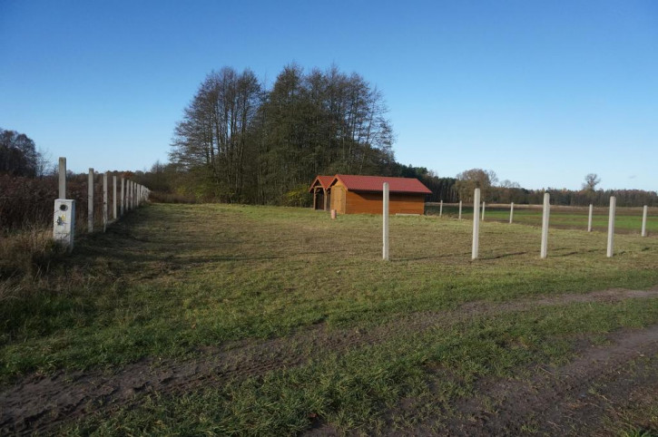 Działka Sprzedaż Marszewo 3