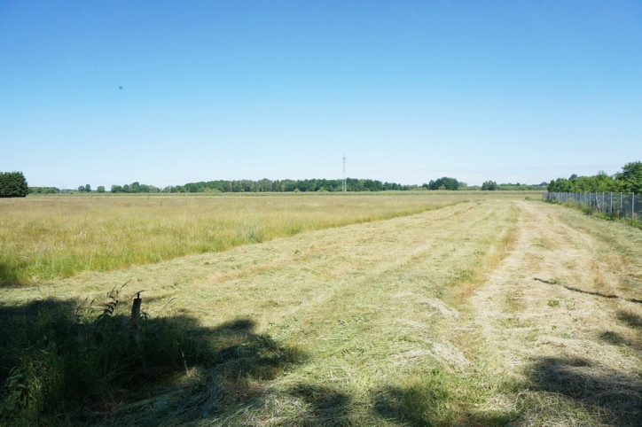Działka Sprzedaż Modrzewie 1