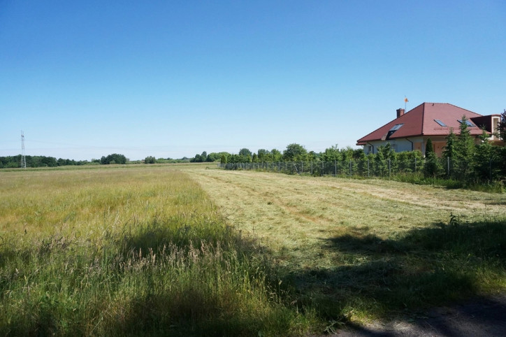 Działka Sprzedaż Modrzewie 4