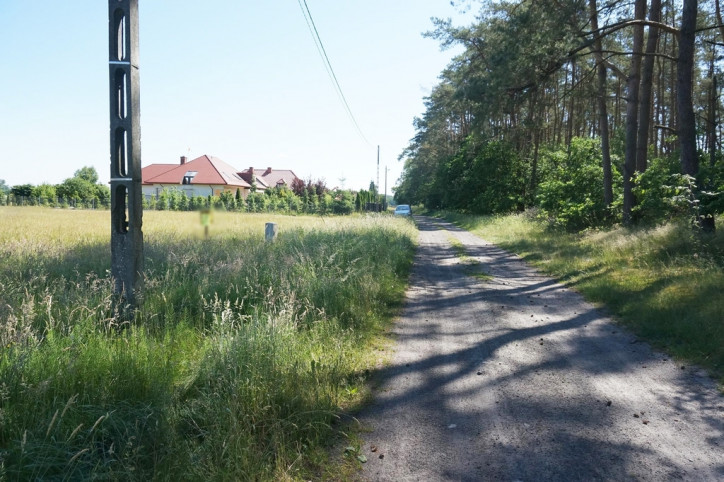 Działka Sprzedaż Modrzewie 5