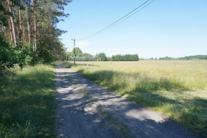 Działka Sprzedaż Modrzewie