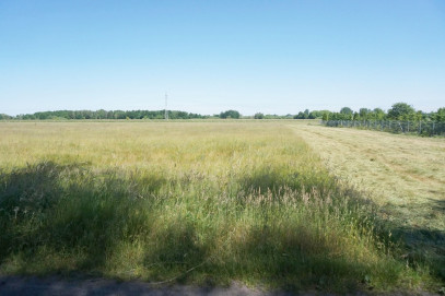 Działka Sprzedaż Modrzewie