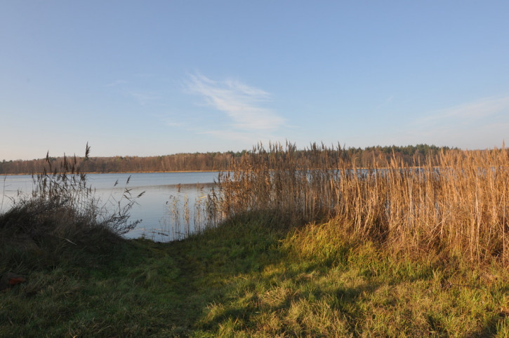 Dom Sprzedaż Krzemień 37