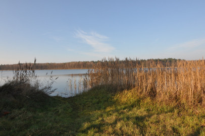 Dom Sprzedaż Krzemień