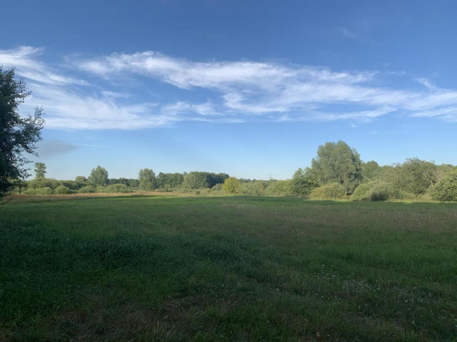 Działka Sprzedaż Godowo 1