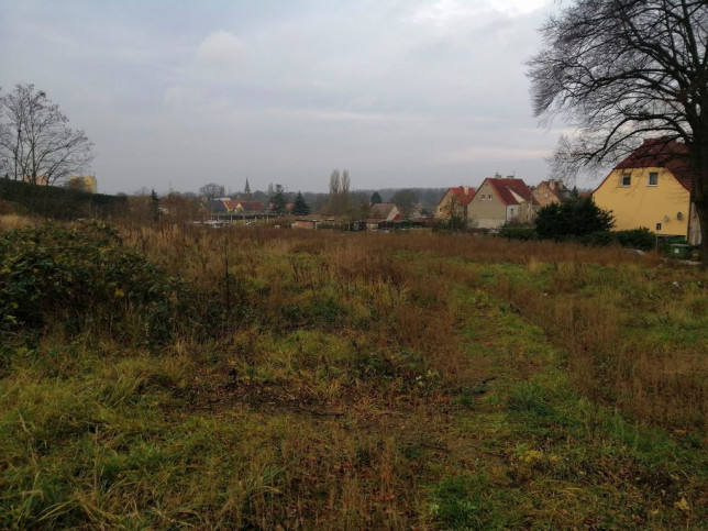 Działka Sprzedaż Szczecin Podjuchy 2