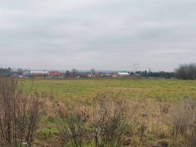 Działka Sprzedaż Mierzyn 5