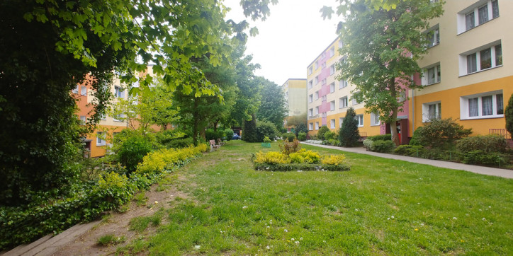 Mieszkanie Wynajem Szczecin Pomorzany Aleja Powstańców Wielkopolskich 10