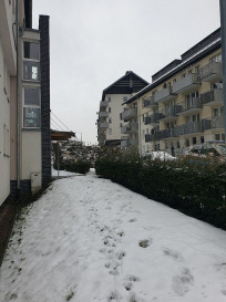 Mieszkanie Wynajem Szczecin Warszewo Belgijska