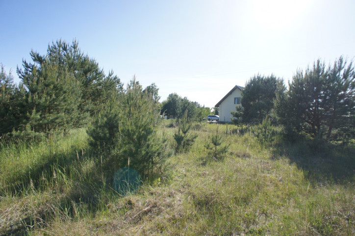 Działka Sprzedaż Rurzyca 3
