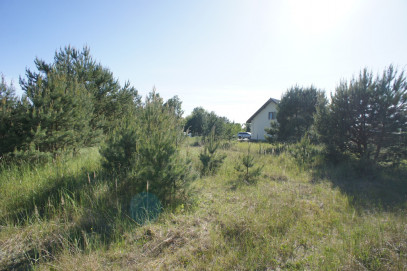 Działka Sprzedaż Rurzyca