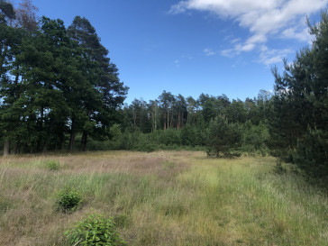 Działka Sprzedaż Rurzyca