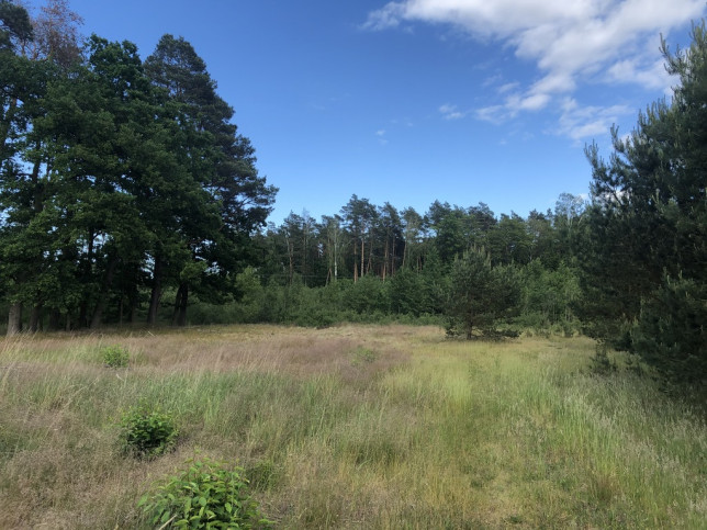 Działka Sprzedaż Rurzyca 2