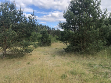 Działka Sprzedaż Rurzyca
