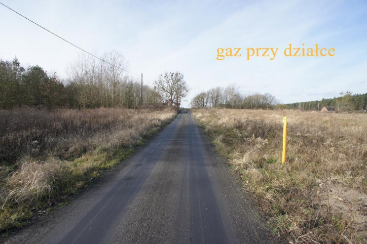 Działka Sprzedaż Żółwia Błoć 5