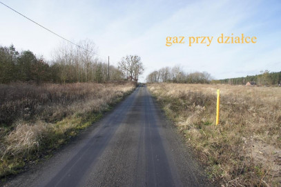 Działka Sprzedaż Żółwia Błoć