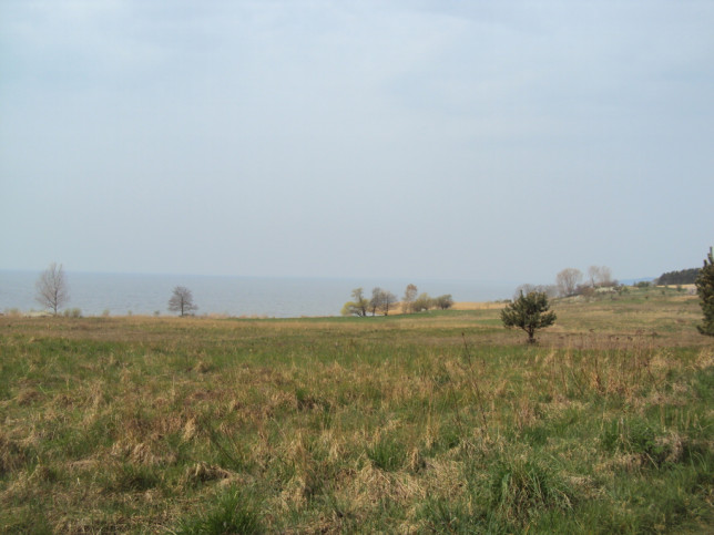 Działka Sprzedaż Płocin 4