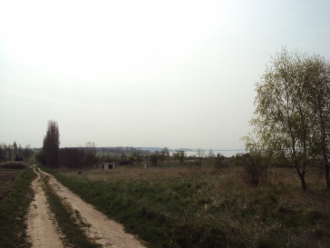 Działka Sprzedaż Płocin