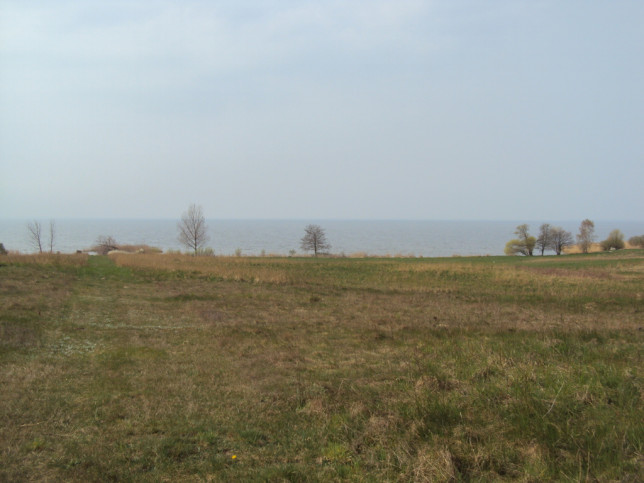 Działka Sprzedaż Płocin 1