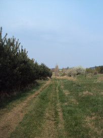 Działka Sprzedaż Płocin