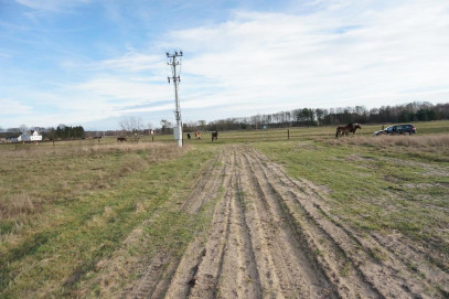Działka Sprzedaż Białuń