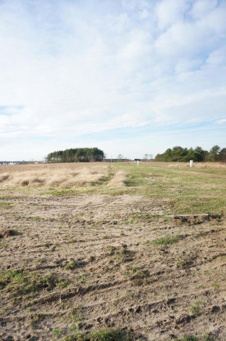 Działka Sprzedaż Białuń 5
