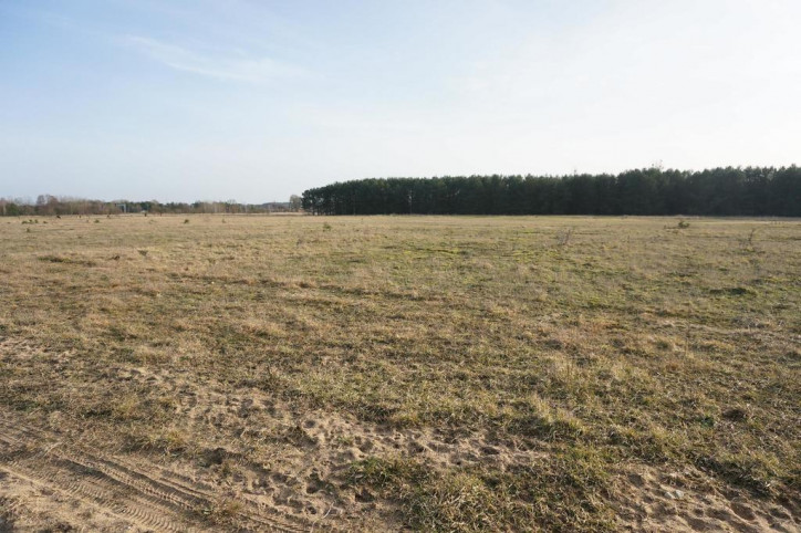 Działka Sprzedaż Białuń 7