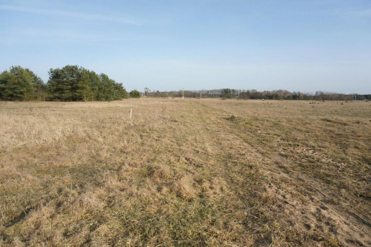 Działka Sprzedaż Białuń 8