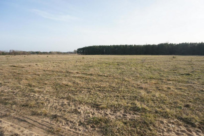 Działka Sprzedaż Białuń