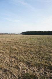 Działka Sprzedaż Białuń