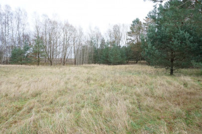 Działka Sprzedaż Goleniów