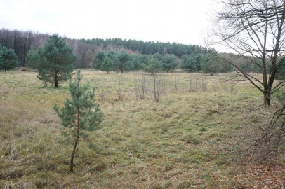 Działka Sprzedaż Goleniów