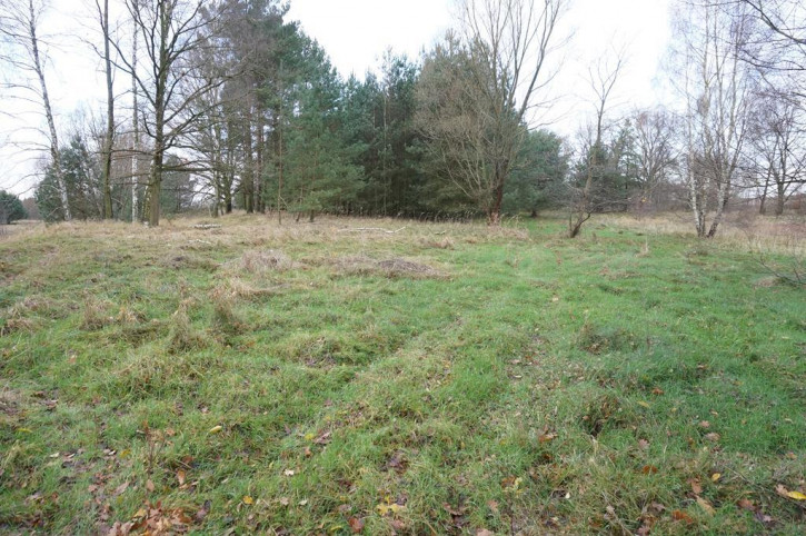 Działka Sprzedaż Goleniów 4