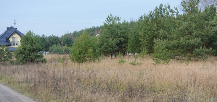 Działka Sprzedaż Rurzyca Dobroszyn 4