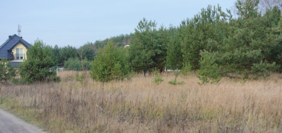 Działka Sprzedaż Rurzyca Dobroszyn